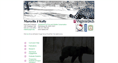 Desktop Screenshot of mjkelly.info